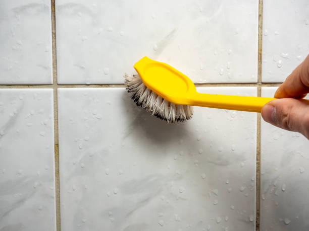 Mold Testing and Removal in South Taft, CA