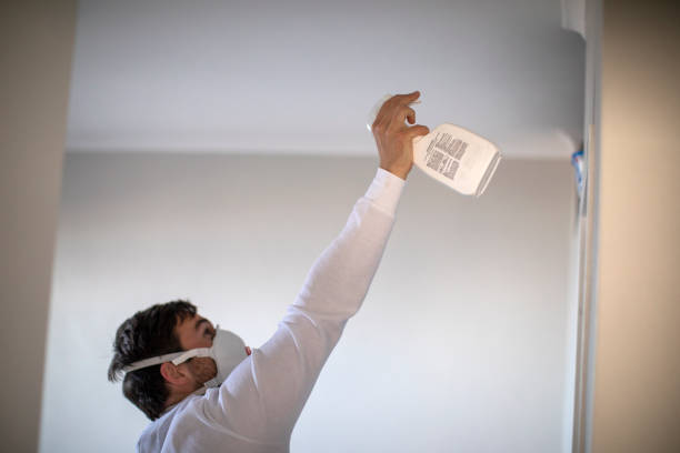 Best Commercial Mold Removal  in South Taft, CA